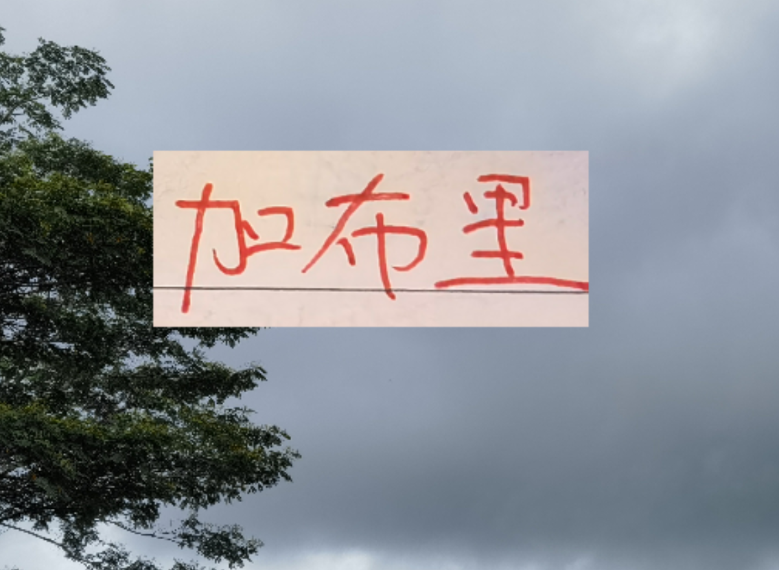 乐鱼官网-是走还是留？ 海港加布里埃尔国内跟国外说法不一样